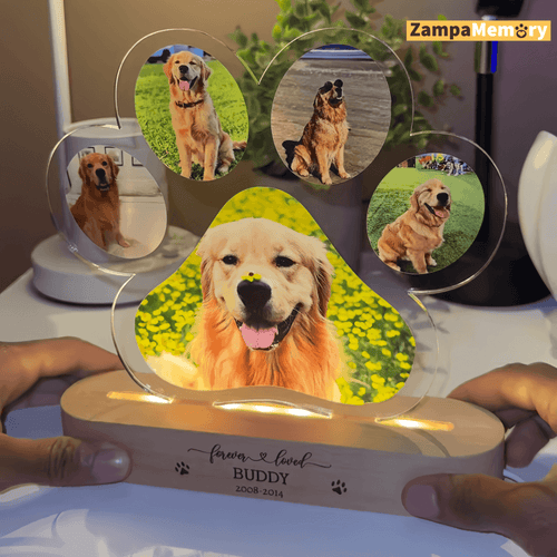 ZampaLove™ Lampada emotiva Personalizzata