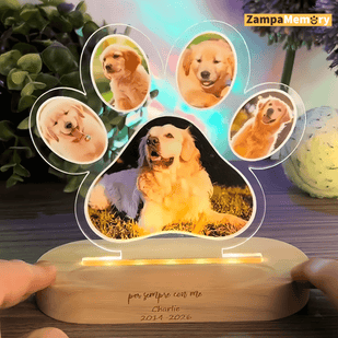 3. Realizzata con cura, pensata per emozionare